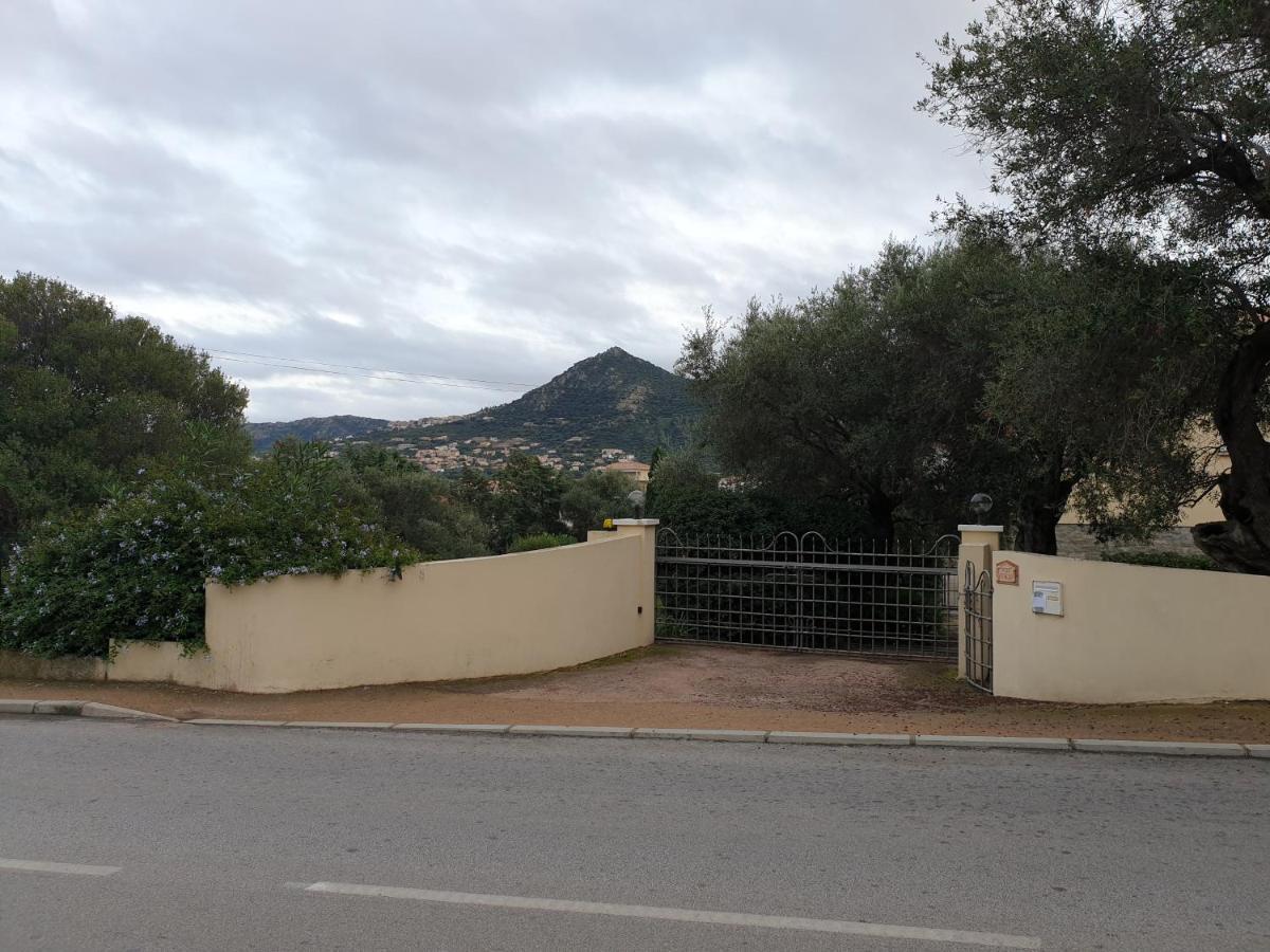 Villa Athena LʼÎle-Rousse 외부 사진